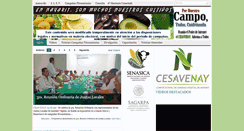 Desktop Screenshot of cesavenay.org.mx